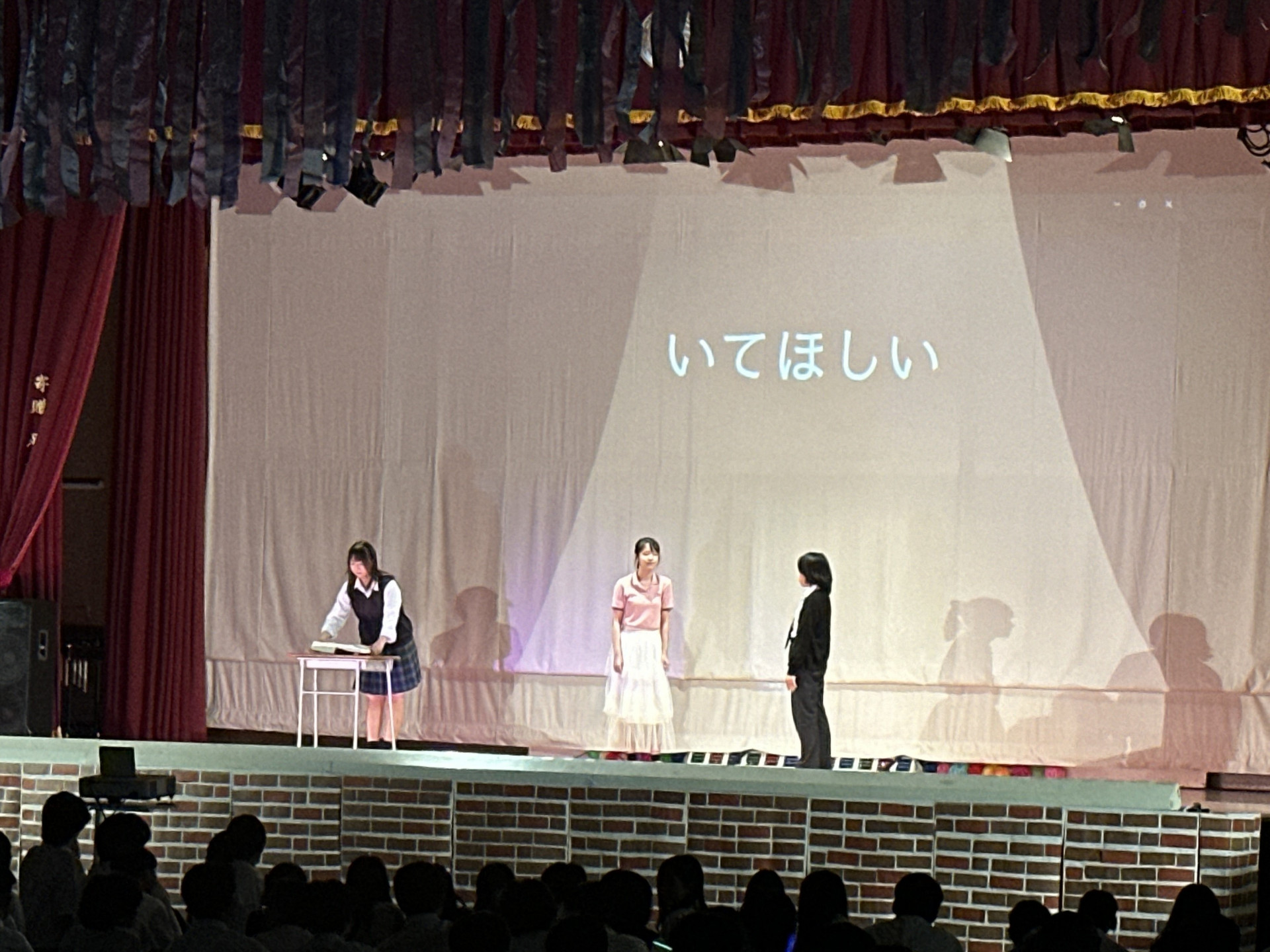 Image (4)